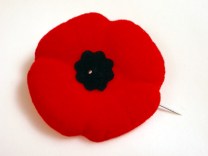 Remembrance Day poppy1[1]